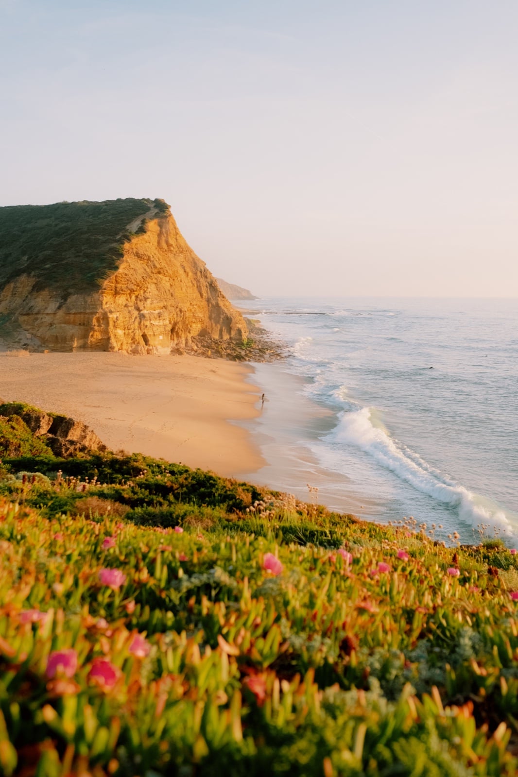 Atlantic beach and sunlit cliffs surrounded by coastal flowers
