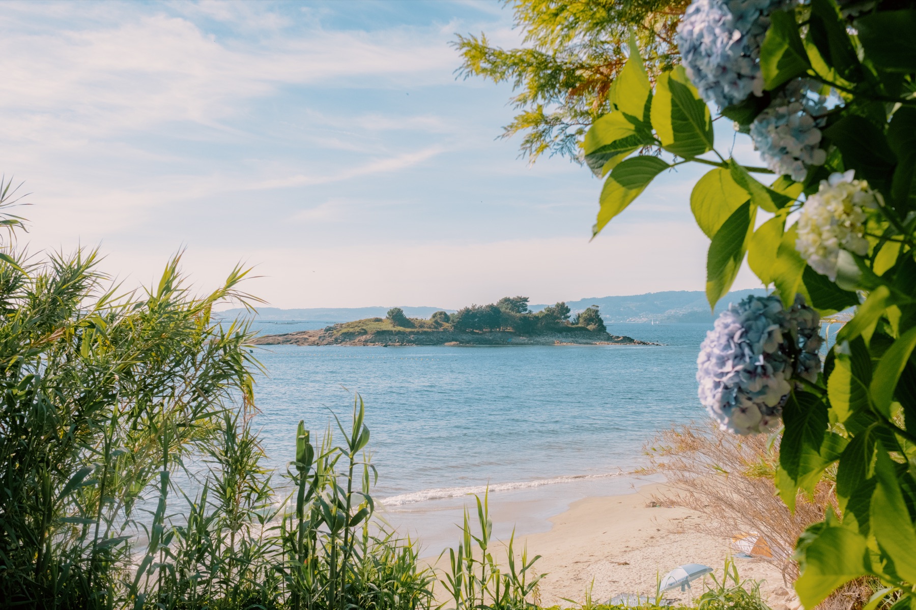 Atlantic beach and island framed by summer flowers